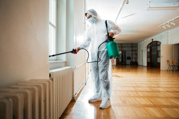 Real Estate Pest Inspections in Joliet, IL